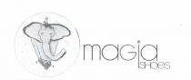 magiashoes con grafica kravitz - raffigurazione elefantino. Il l logo consiste in due elementi distinti: il disegno grafico con la