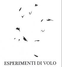 ESPERIMENTI DI VOLO