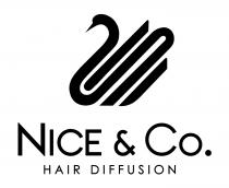 NICE CO HAIR DIFFUSION