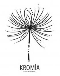 kromìa disordinary colorsil logo rappresenta un soffione stilizzato con linee, puntini e onde. Lo stelo del soffione è rappresentato da