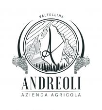 ANDREOLI AZIENDA AGRICOLA