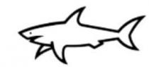 Il marchio consiste nella rappresentazione stilizzata di uno squalo