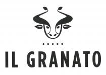 Il marchio figurativo è costituito dalla raffigurazione stilizzata del capo di una bufala le cui corna ed orecchie sono realizzati