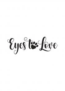 Eyes To Love Eyes Love