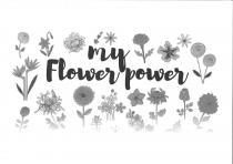 MY FLOWER POWER: Il marchio è caratterizzato dalla presenta di un elemento denominativo costituito dalla scritta MY FLOWER POWER tradotta
