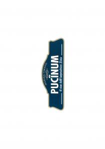 PUCINUM I