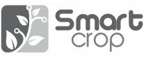 SMART CROPIl SMART CROP