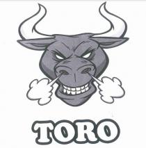 TORO. GRAFICA COMPOSTA DA UNA TESTA DI TORO CON SBUFFI DI FUMO DAL NASO. IMMEDIATAMENTE SOTTO SI TROVA LA DICITURA