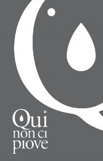 IL MARCHIO CONSISTE IN UN LOGO SOVRASTANTE IDENTIFICATO NELLA LETTERA Q CON ALL INTERNO UNA GOCCIOLINA E NELLA PARTE INFERIORE SINISTRA