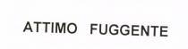 ATTIMO FUGGENTE