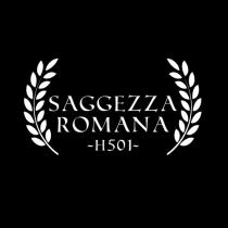 SAGGEZZA ROMANA H501