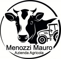 SI VEDA RAPPRESENTAZIONE GRAFICA ALLEGATA