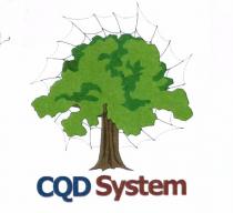 CQD SYSTEM