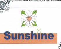 SUNSHINE