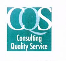 CQS CONSULTING QUALITY SERVICE