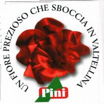 UN FIORE PREZIOSO CHE SBOCCIA IN VALTELLINA
