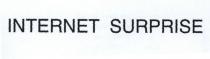 INTERNET SURPRISE