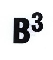 B3