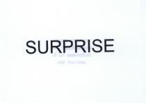 SURPRISE