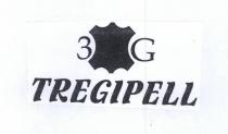 3G TREGIPELL