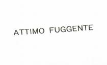 ATTIMO FUGGENTE