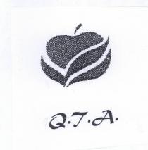 QTA