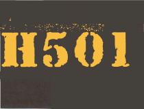 H501