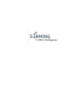 s3aming