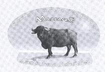 MARCHIO DI SCRITTURA E FIGURATIVO. IL MARCHIO CONSISTE IN UNA FIGURA GEOMETRICA STILIZZATA CHE RICHIAMA LA FORMA DI UNA MOZZARELLA, MARCHIO DI SCRITTURA E FIGURATIVO. MARCHIO CONSISTE IN UNA FIGURA GEOMETRICA STILIZZATA CHE RICHIAMA LA FORMA DI UNA MOZZARELLA, AL SUO INTERNO AL CENTRO VI E UN IMMAGINE FOTOGRAFICA DI UNA BUFALA CON IL CORPO DI PROFILO E IL CAPO RIVOLTO DI FRONTE. NEL PERIMETRO INTERNO AL DISEGNO NELLA PARTE SUPERIORE VI E LA FRASE IN CARATTERE CENTURY GOTHIC : ALLEVAMENTO BUFALINO E CASEIFICIO AZIENDALE. AL CENTRO FRA LA FRASE SUPERIORE E L IMMAGINE FOTOGRAFICA VI E IL NOME MAZZARELLI CON CARATTERE DAEL CALLIGRAPHY, MENTRE ALLA BASE DEL DISEGNO VI E LA FRASE : MOZZARELLA LUCANA DI LATTE DI BUFALA CON CARATTERE CENTURY GOTHIC . MARCHIO DI SCRITTURA E FIGURATIVO. IL MARCHIO CONSISTE IN UNA FIGURA GEOMETRICA STILIZZATA CHE RICHIAMA LA FORMA DI UNA MOZZARELLA