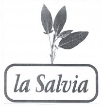 MARCHIO FIGURATIVO LA SCRITTA LA SALVIA ALL INTERNO DI UNA CORNICE RETTANGOLARE A SPIGOLI ARROTONDATI SORMONTATA DA UN RAMETTO DI FOGLIE MARCHIO FIGURATIVO LA SCRITTA LA SALVIA ALL INTERNO DI UNA CORNICE RETTANGOLARE A SPIGOLI ARROTONDATI SORMONTATA DA UN RAMETTO DI FOGLIE DI SALVIA CHE SI ATTACCA NEL PUNTO DI MEZZO DEL LATO SUPERIORE DELLA CORNICE STESSA. MARCHIO FIGURATIVO LA SCRITTA LA SALVIA ALL INTERNO DI UNA CORNICE RETTANGOLARE A SPIGOLI ARROTONDATI SORMONTATA DA UN RAMETTO DI FOGLIE