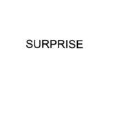 SURPRISE VERBALE IL MARCHIO CONSISTE NELLA PAROLA SURPRISE SURPRISE VERBALE MARCHIO CONSISTE NELLA PAROLA SURPRISE