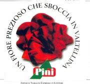 IL MARCHIO SI PRESENTA CON LA SCRITTA NERA A CERCHIO UN FIORE PREZIOSO CHE SBOCCIA IN VALTELLINA, AL CENTRO C E MARCHIO SI PRESENTA CON LA SCRITTA NERA A CERCHIO UN FIORE PREZIOSO CHE SBOCCIA IN VALTELLINA, AL CENTRO C E UNA ROSA FIORE FATTA CON FETTE DI BRESAOLA COLORE ROSSO, IN BASSO AL CENTRO IL MARCHIO PINI PINI VERDE STILIZZATO CON LA SCRITTA PINI SU SFONDO ROSSO.