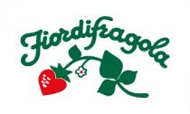 IL MARCHIO CONSISTE NELLA PAROL A FIORDIFRAGOLA SCRITTA IN CARATTERE GRAFICO CORSIVO E FACENTE PARTE DELLA RAGIONE SOCIALE DELLA RICHIEDENTE. MARCHIO CONSISTE NELLA PAROL A FIORDIFRAGOLA SCRITTA IN CARATTERE GRAFICO CORSIVO E FACENTE PARTE DELLA RAGIONE SOCIALE DELLA RICHIEDENTE. SOTTOSTANTE VI E LA RAPPRESENTAZIONE DI UNA PIANTINA DI FRAGOLA CARATTERIZZATA DA UN FIORELLINO SBOCCIATO E CULMINANTE NELLA STILIZZAZIONE DI UNA FRAGOLA MATURA MARCHIO FIGURATIVO IL MARCHIO CONSISTE NELLA PAROL A FIORDIFRAGOLA SCRITTA IN CARATTERE GRAFICO CORSIVO E FACENTE PARTE DELLA RAGIONE SOCIALE DELLA RICHIEDENTE.