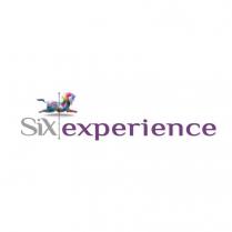 SIX EXPERIENCE SCRITTA