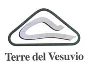 IL MARCHIO E COSTITUITO DA UNA FIGURA TRIANGOLARE DI LARGA BASE, CON ANGOLI ARROTONDATI, A VOLER RAPPRESENTARE IL VESUVIO STILIZZATO, MARCHIO E COSTITUITO DA UNA FIGURA TRIANGOLARE DI LARGA BASE, CON ANGOLI ARROTONDATI, A VOLER RAPPRESENTARE IL VESUVIO STILIZZATO, NEL CUI INTERNO E VISIBILE UN SINUOSO TRATTO DI STRADA. COMPLETA IL MARCHIO LA DICITURA IN CARATTERE ROMANO MINUSCOLO CON INIZIALI MAIUSCOLE TERRE DEL VESUVIO . FIGURATIVO .