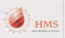 IL MARCHIO E : HMS HAIR METABOLIC SYSTEM, SI PRESENTA CON UN CERCHIO SORMONTATO DA UNA GOCCIA STILIZZATA E COLORATA MARCHIO E : HMS HAIR METABOLIC SYSTEM, SI PRESENTA CON UN CERCHIO SORMONTATO DA UNA GOCCIA STILIZZATA E COLORATA CON BANDE IN DIVERSA GRADAZIONE DI ROSSO. IL CERCHIO SEMPRE ROSSO, E ATTORNIATO DA SIMBOLI DI MINERALI E VITAMINE IN TONALITA DI VERDE COLLEGATI TRA LORO DA LINEE VERDI CHE SI INTERSECANO. SUL FIANCO LA SCRITTA HMS IN CARATTERE CASTELLAR E LA SCRITTA HAIR METABOLIC SYSTEM CON CARATTERE ARIAL. IL MARCHIO E : HMS HAIR METABOLIC SYSTEM, SI PRESENTA CON UN CERCHIO SORMONTATO DA UNA GOCCIA STILIZZATA E COLORATA