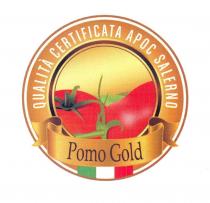 IL MARCHIO POMO GOLD FA PARTE DEI MARCHI LINEA ORO . PRESENTA NELLA PARTE CENTRALE, ISCRITTO IN UN CERCHIO, LA RAFFIGURAZIONE MARCHIO POMO GOLD FA PARTE DEI MARCHI LINEA ORO . PRESENTA NELLA PARTE CENTRALE, ISCRITTO IN UN CERCHIO, LA RAFFIGURAZIONE DI PARTICOLARI DELLE DUE TIPOLOGIE DI POMODORO DA INDUSTRIA PIU DIFFUSE, OVVERO IL TONDO-OVALE E L ALLUNGATO, DI COLORE ROSSO, SU FONDO ORO E SULLO SFONDO UNO SCORCIO DI COLLINE SUI TONI DEL VERDE. I COLORI DOMINANTI SONO IL ROSSO, IL MARRONE E L ORO. INTORNO ALLA PARTE CENTRALE, SEGUENDO UN ANDAMENTO CIRCOLARE, TROVIAMO LA DICITURA QUALITA CERTIFICATA APOC SALERNO DI COLORE BIANCO E SU FONDO SFUMATO DA UNA GRADAZIONE DI MARRONE. NELLA PARTE INFERIORE, INSERITA SU UNA SORTA DI PERGAMENA, TROVIAMO LA DICITURA POMO GOLD . INFINE NELLA PARTE INFERIORE, CENTRATA, TROVIAMO LA BANDIERA ITALIANA CON I CLASSICI COLORI VERDE, BIANCO E ROSSO INSERITA IN MODO DA POSIZIONARSI SOTTO LA PERGAMENA ED INTERNA ALL INTERO MARCHIO.