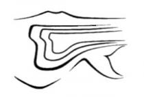IL MARCHIO ASSUME, QUALE LOGO DISTINTIVO, LA RISULTANTE DI VARI ELEMENTI GRAFICI DALLA CUI COMBINAZIONE EMERGONO: IL PROFILO STILIZZATO DEL MARCHIO ASSUME, QUALE LOGO DISTINTIVO, LA RISULTANTE DI VARI ELEMENTI GRAFICI DALLA CUI COMBINAZIONE EMERGONO: IL PROFILO STILIZZATO DEL VESUVIO, CARATTERE TIPICO DELLA CITTA DI NAPOLI ED UNA SINUOSA E MISTERIOSA CODA, CHE RIMANDA AL MITO DELLA SIRENA PARTENOPE. SI FA SPAZIO, TRA I DUE SUDDETTI SIMBOLI, UNA SERIE DI ONDE MARINE CHE EVOCANO LA STRUTTURA DI UN DENTE. FIGURATIVO . IL MARCHIO ASSUME, QUALE LOGO DISTINTIVO, LA RISULTANTE DI VARI ELEMENTI GRAFICI DALLA CUI COMBINAZIONE EMERGONO: IL PROFILO STILIZZATO DEL