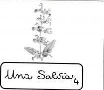 UNA SALVIA 4