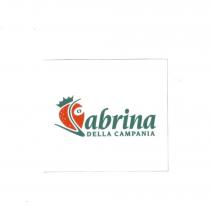 IL MARCHIO SABRINA DELLA CAMPANIA E UN MARCHIO FIGURATIVO A COLORI. ESSO CONSISTE NELLA SCRITTA SABRINA DI COLORE VERDE, IN MARCHIO SABRINA DELLA CAMPANIA E UN MARCHIO FIGURATIVO A COLORI. ESSO CONSISTE NELLA SCRITTA SABRINA DI COLORE VERDE, IN CORSIVO: SOTTO LA SCRITTA SABRINA C E LA SCRITTA DELLA CAMPANIA, ANCH ESSA DI COLOR VERDE, IN STAMPATELLO. LA S DI SABRINA E DI CARATTERE STILIZZATO, E RETROSTANTE ESSA C E L IMMAGINE DI UNA FRAGOLA DI COLORE ROSSO, LEGGERMENTE ADAGIATA SUL LATO SINISTRO, CHE HA UNA CORONA DI COLORE VERDE SULLA PROPRIA SOMMITA, UN OCCHIO STILIZZATO SUL LATO DESTRO, E CHE, INSIEME ALLA S DI SABRINA SIMULANO UN VOLTO DI PROFILO IL MARCHIO SABRINA DELLA CAMPANIA E UN MARCHIO FIGURATIVO A COLORI. ESSO CONSISTE NELLA SCRITTA SABRINA DI COLORE VERDE, IN