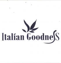 IL MARCHIO CONSISTE NELLA DENOMINAZIONE - ITALIAN GOODNESS - CON LO SPECIFICO CARATTERE E LA PENULTIMA LETTERA, LA S DIFFERENZIATA MARCHIO CONSISTE NELLA DENOMINAZIONE - ITALIAN GOODNESS - CON LO SPECIFICO CARATTERE E LA PENULTIMA LETTERA, LA S DIFFERENZIATA IN FORMA SINUOSA, LA SCRITTURA E SUPPORTATA DA UN IMMAGINE FIGURATIVA COLLOCATA SOPRA LA G, CARATTERIZZATA DA CINQUE FOGLIE STILIZZATE CON ANDAMENTO SINISTRA/DESTRA. IL MARCHIO CONSISTE NELLA DENOMINAZIONE - ITALIAN GOODNESS - CON LO SPECIFICO CARATTERE E LA PENULTIMA LETTERA, LA S DIFFERENZIATA