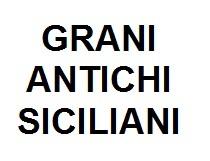 GRANI ANTICHI SICILIANI