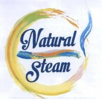 IL MARCHIO SI COMPONE DI UNA SCRITTA IN LINGUA INGLESE, NATURAL STEAM DI COLORE BLUE LE CUI PAROLE SONO SEPARATE MARCHIO SI COMPONE DI UNA SCRITTA IN LINGUA INGLESE, NATURAL STEAM DI COLORE BLUE LE CUI PAROLE SONO SEPARATE DAL DISEGNO DI UNA SIGARETTA STILIZZATA ED INSCRITTE IN UN CERCHIO DI VAPORE ANCH ESSO STILIZZATO. DALL APICE DESTRO DELLA SIGARETTA FUORIESCE UN DISEGNO RAFFIGURANTE IL VAPORE CHE SALE CON MOVIMENTO SINUOSO. I COLORI CHE CARATTERIZZANO IL MARCHIO SONO RAPPRESENTATI CON EFFETTO ACQUARELLO, LA SIGARETTA STILIZZATA E AZZURRO E COLORE ARANCIO, IL CERCHIO COLOR ARANCIO, GIALLO, VERDE, ROSA MENTRE IL FUMO E DI COLORE AZZURRO MARCHIO FIGURATIVO A COLORI IL MARCHIO SI COMPONE DI UNA SCRITTA IN LINGUA INGLESE, NATURAL STEAM DI COLORE BLUE LE CUI PAROLE SONO SEPARATE