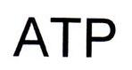 ATP VERBALE IL MARCHIO CONSISTE NELLA PAROLA ATP