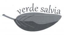 VERDE SALVIA