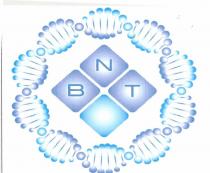 nbt