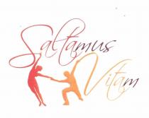 saltamus arancio1 arancio2 n62 c31m62y100k1 m89 c17m89y100k7 c31m99y100k42