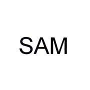 SAM VERBALE IL MARCHIO CONSISTE NELLA PAROLA SAM