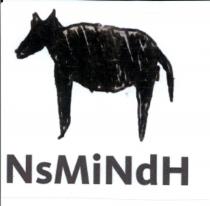 NSMINDH