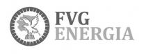 FVG ENERGIA + fig.